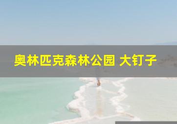 奥林匹克森林公园 大钉子